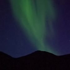 Profile image of Yukon233