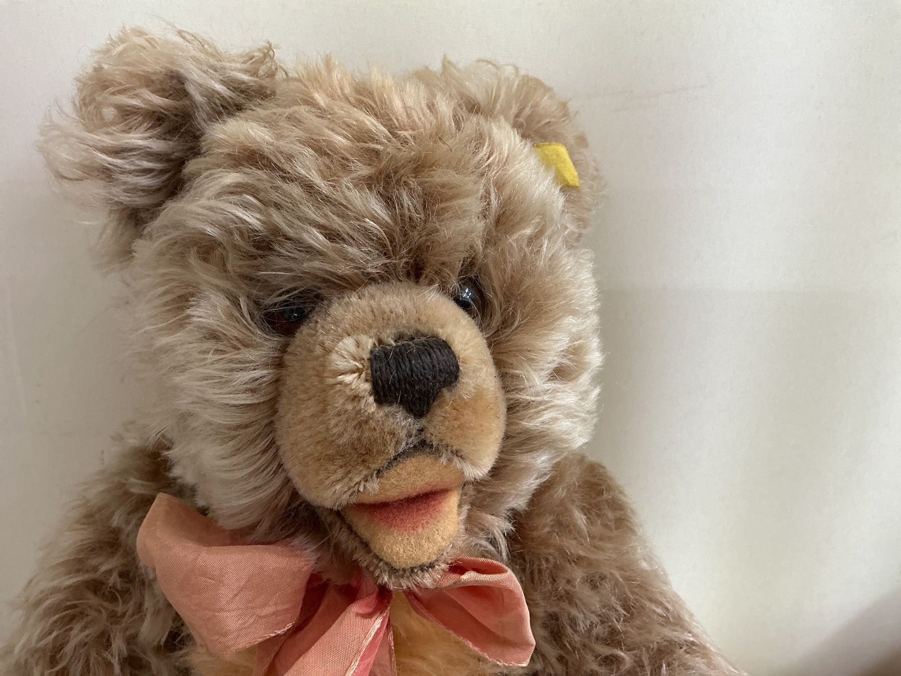 Giocattoli: Antiker Steiff Bär – Usato da Bern venduto da vielerart 1