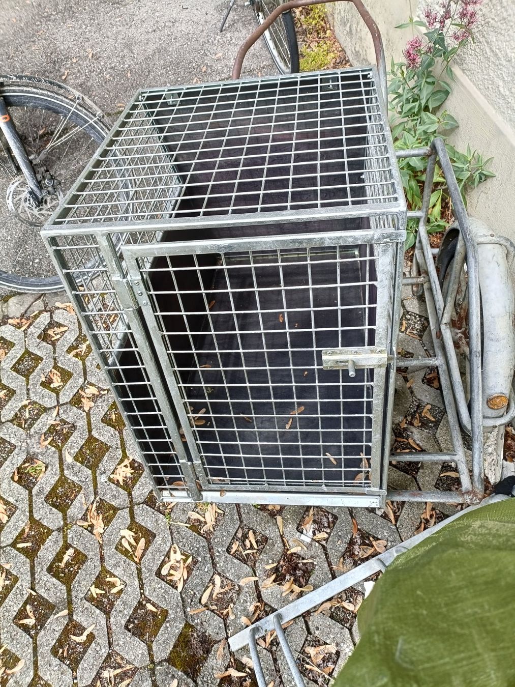 Gabbie, trasporto & Sicurezza: Velo Anhänger mit Hundebox – Usato da Köniz venduto da Brockenreich 2