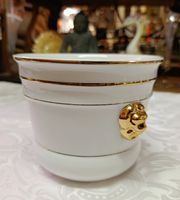 Wunderschöner klassischer Übertopf. für Blumen. Flowerpot