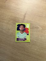 Panini Sticker: WM 2026 – Max Grocombe