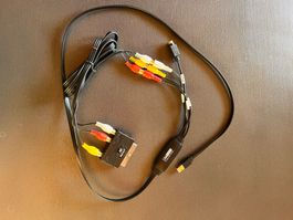 Set zum Übertragen von Videos VHS oä via USB von SCART/Cinch
