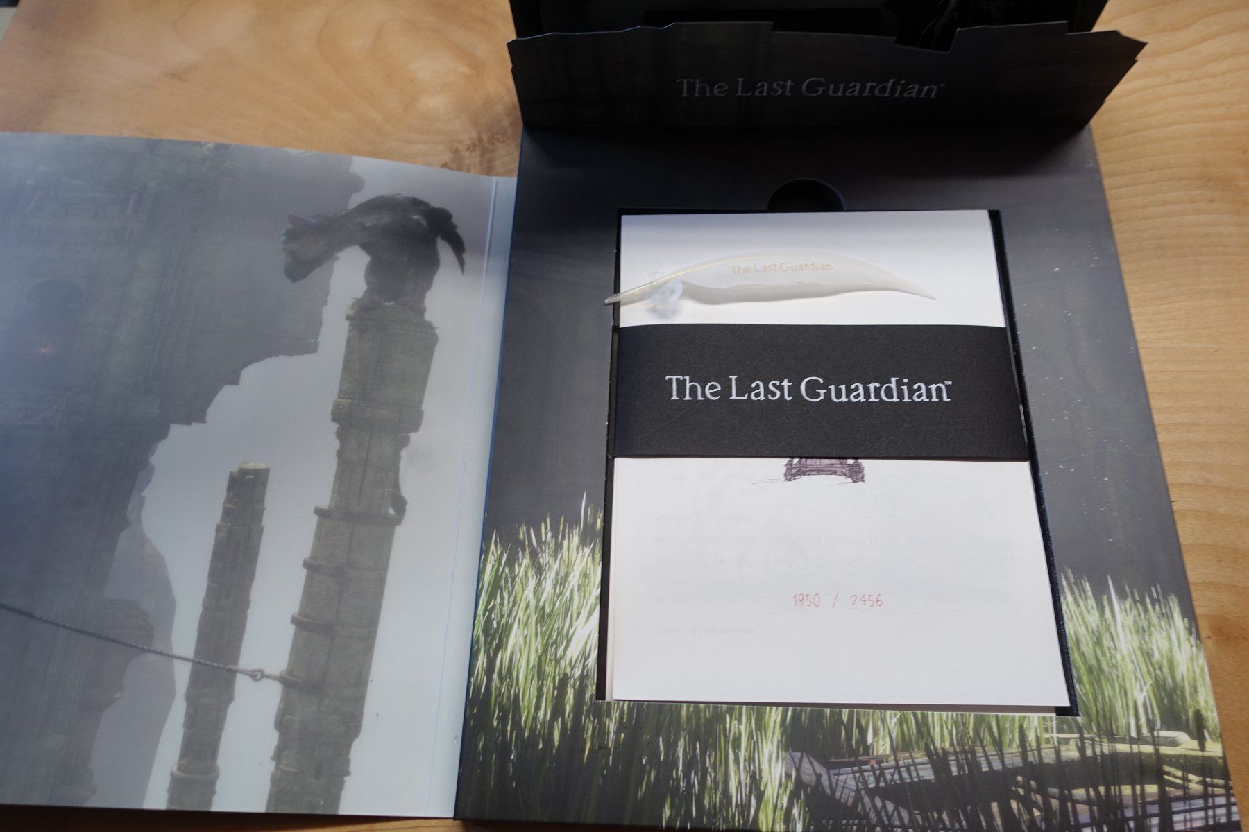 Sony Spiele: The Last Guardian - Press Kit – Gebraucht aus Steinach von Gamecet 4