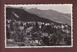 MONTANA - 1951