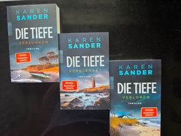 Karen Sander   Trilogie  Die Tiefe