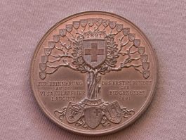 Eidgenossenschafts Medaille 1891, Top Zustand