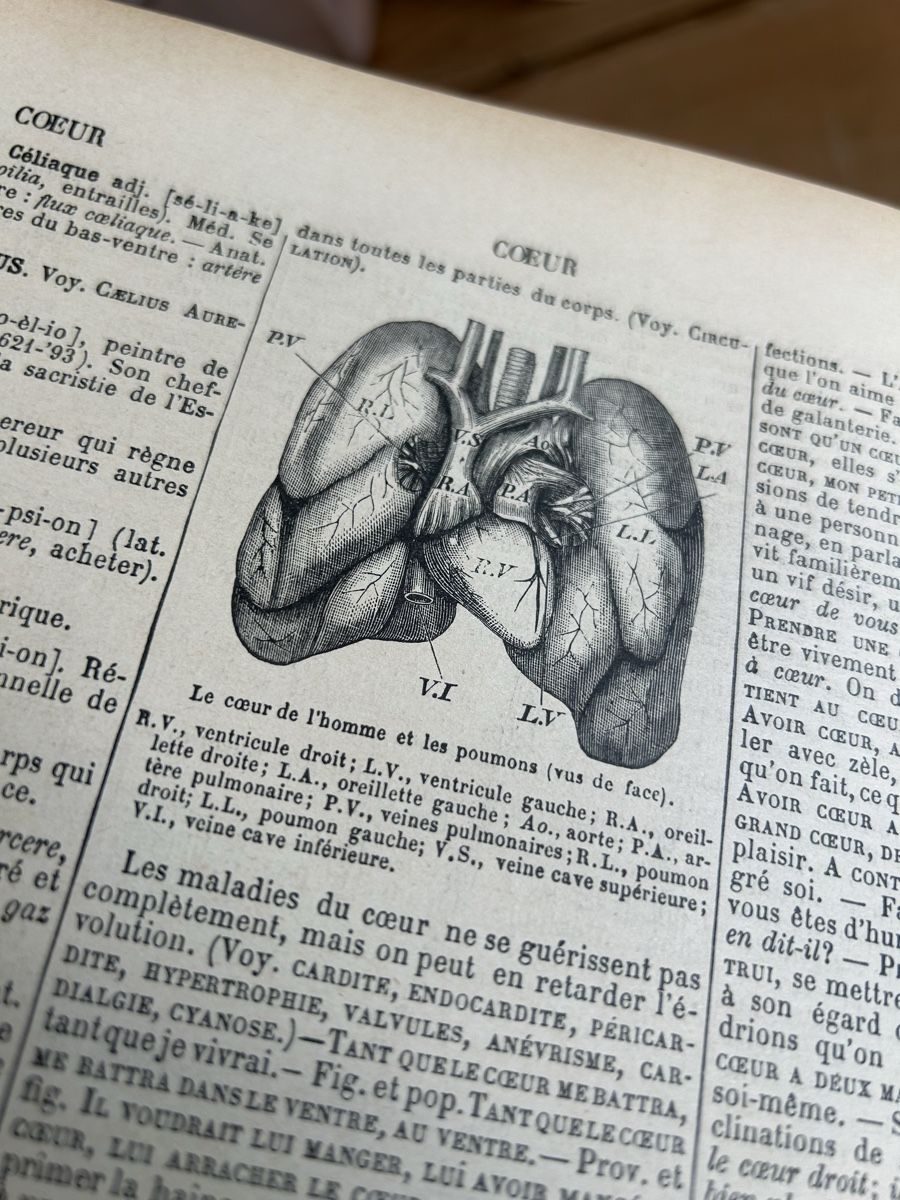 Libri: Encyclopédie universelle de 1877 – Usato da Romainmôtier venduto da luc_55cz 4