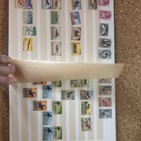 Seltene Briefmarken-polen/ ungarn & San Marino aus den 70er