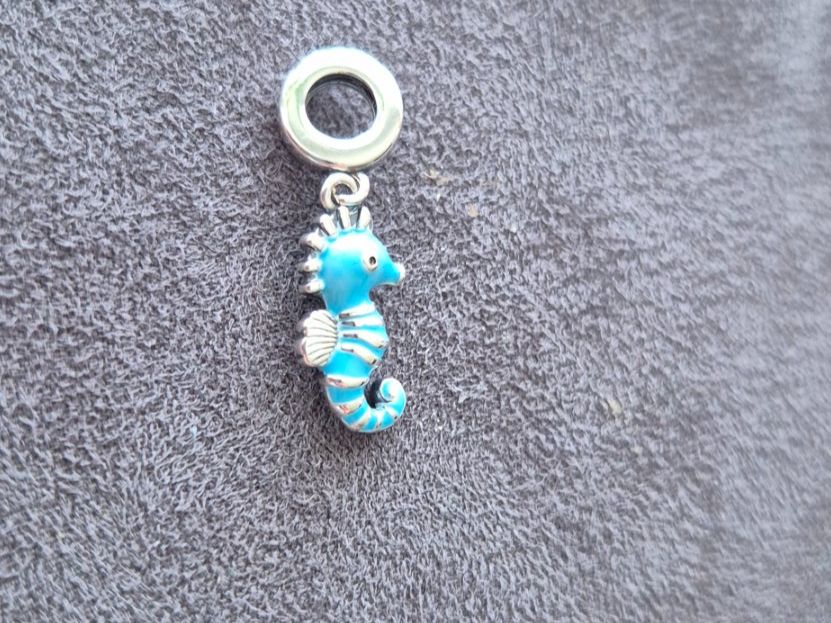 Anhänger: Silber Charm Seepferd +Garantie – Neu (gemäss Beschreibung) aus Rotkreuz von Carbone_Bijou-Shop 2