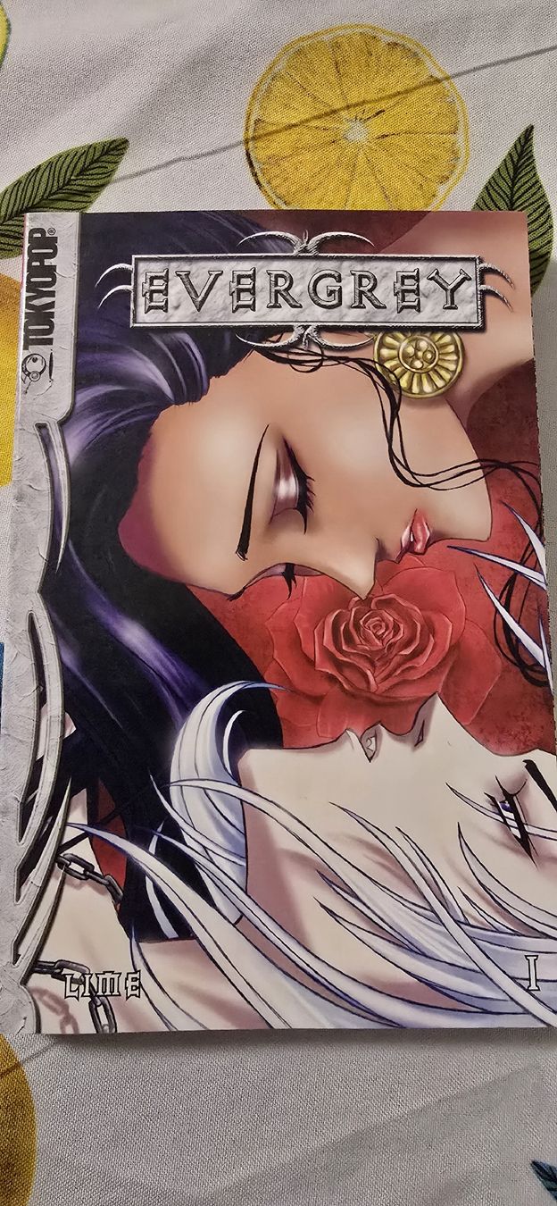 Comics: Evergrey – Gebraucht aus Basel von Nerea07