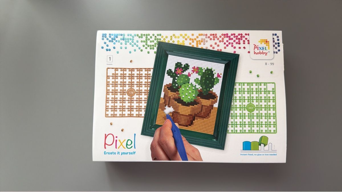 Kit bricolage: Pixel Hobby Kaktus Bild mit Rahmen – Nuovo e nell'imballaggio originale da Jona venduto da dar_k2v9