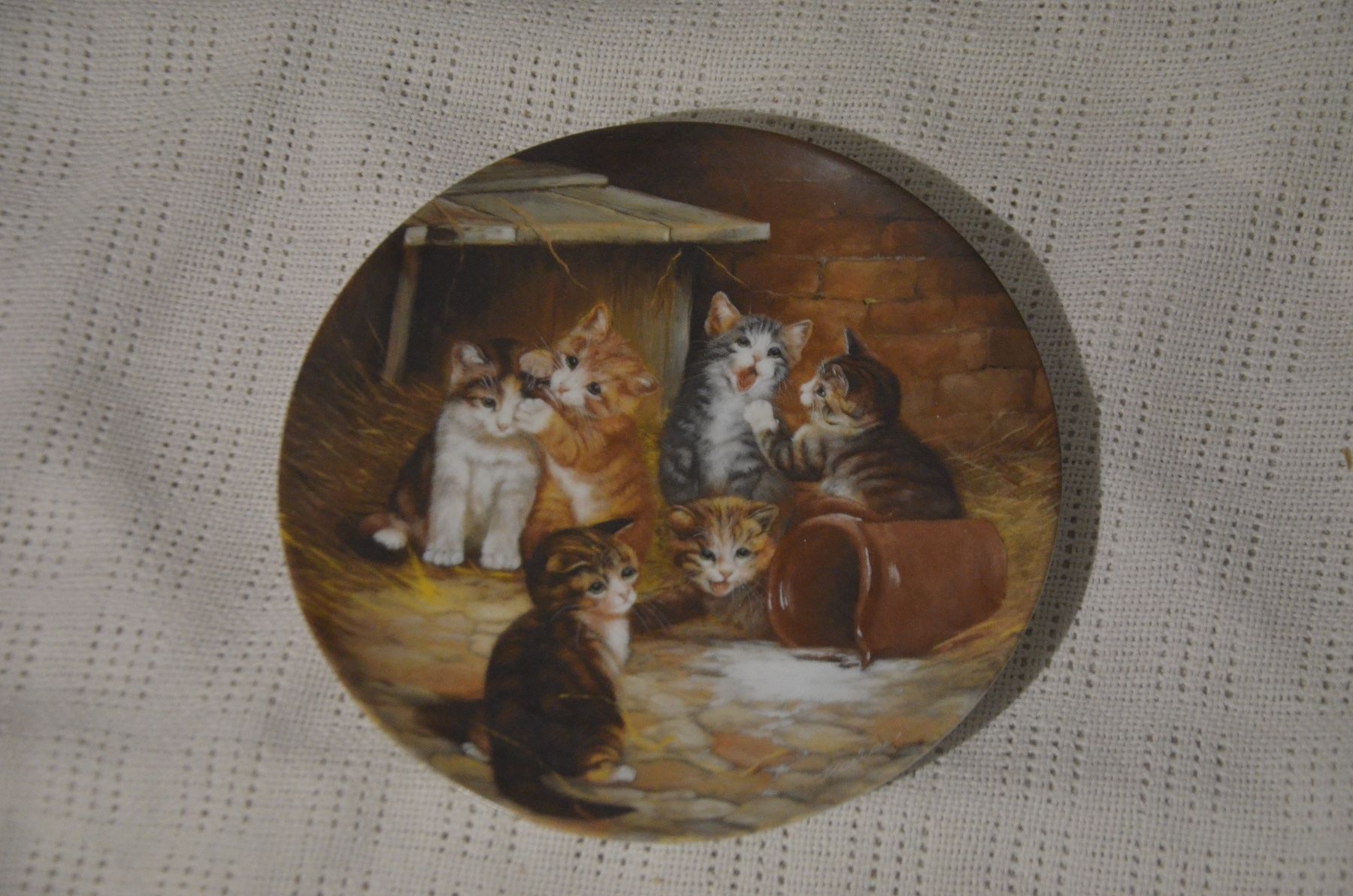 Teller: TELLER KATZE – Gebraucht aus Chiasso von Dolly015