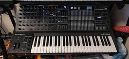 Analog Synthesizer MatrixBrute - Excellent condition