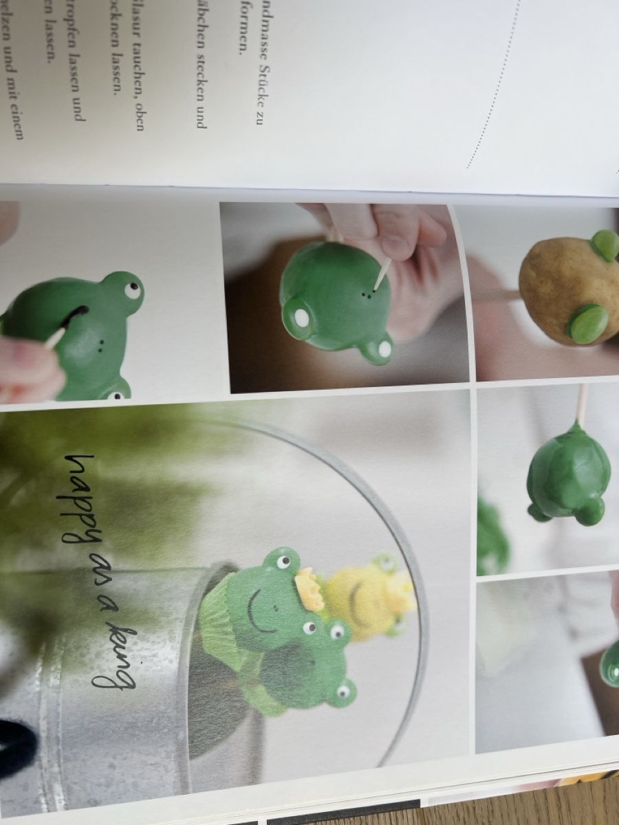 Libri: Cake Pop Bakery Buch: Tipps & Tricks, neuwertig – Usato da Oensingen venduto da katepe 8