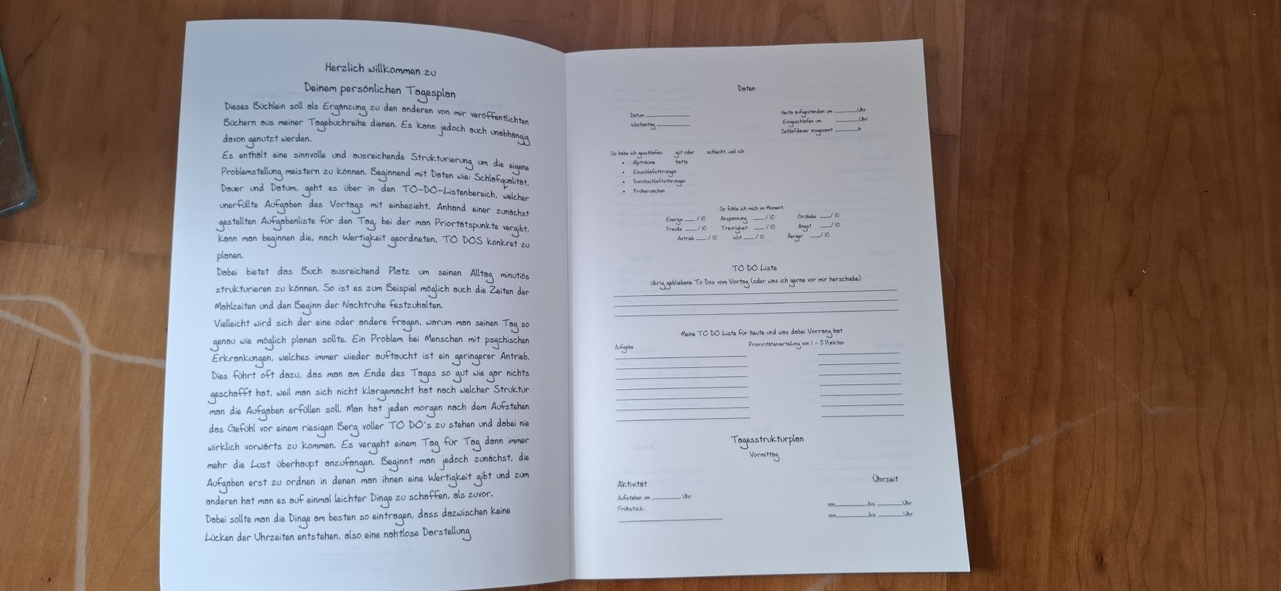 Libri: Buch: Mein Tagesplan - Hilfe bei Antriebsproblemen – Nuovo (secondo la descrizione) da Wuppenau venduto da Jaqueline 3