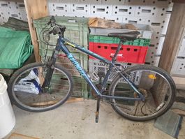 Mountainbike Leonardo blau fahrbar guter Zustand