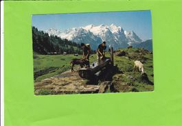 Wetterhorngruppe-Brunnen-Ziegen-Bauern