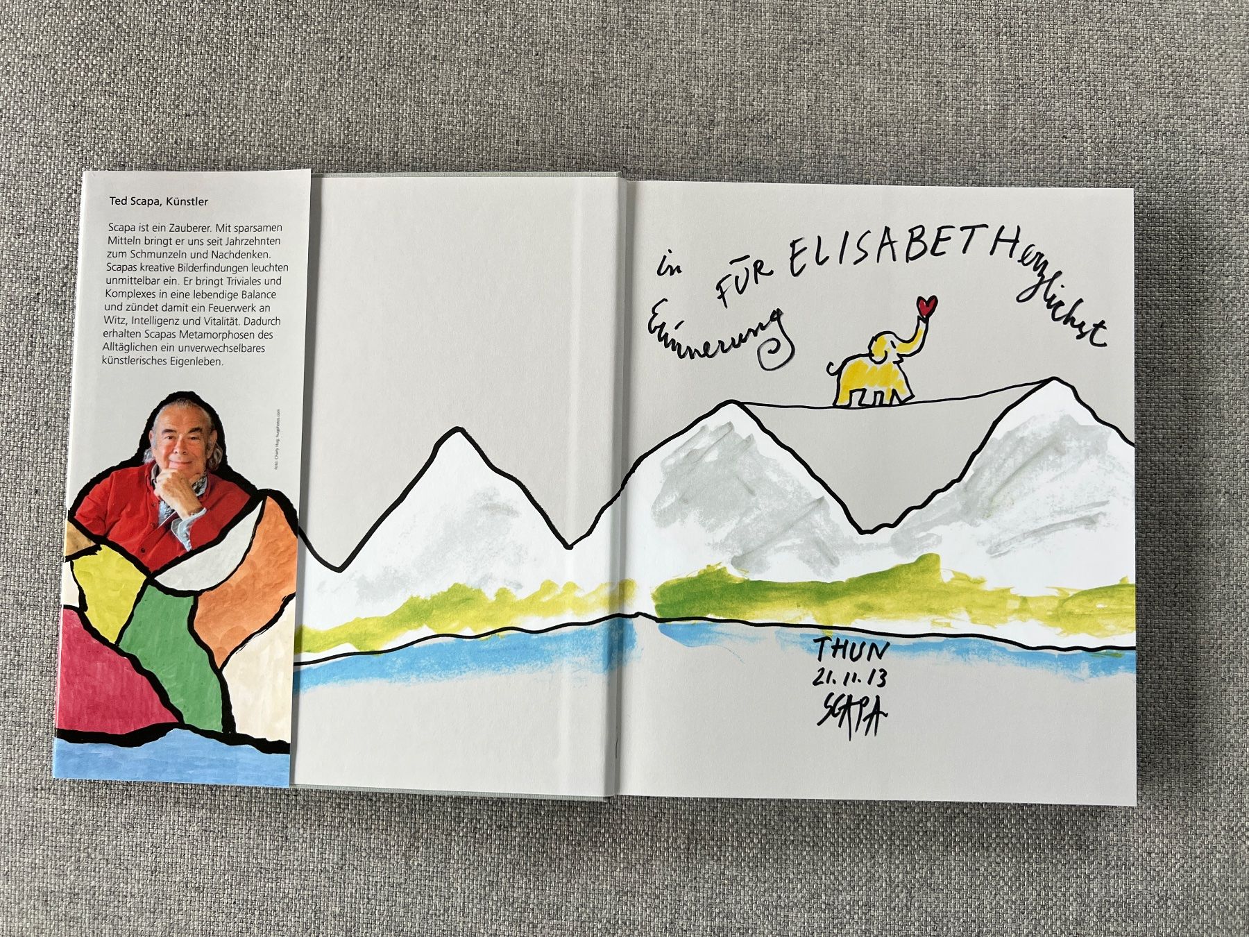 Libri: Buch Berge von Ted Scapa Kunstbuch – Usato da Ennetbaden venduto da mapa05 2