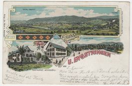 Unterengstringen Restaurant Meiershöfli - schöne Lithokarte