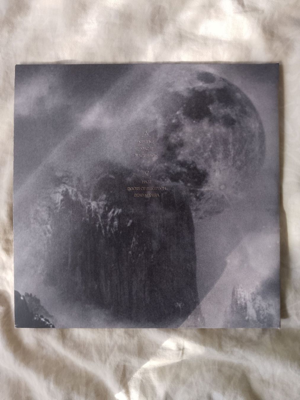 Dischi in vinile: Vinyle 33t - Black Willows - Haze – Usato da Pully venduto da Jod_dydy 1