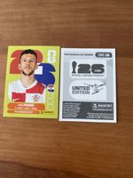 Panini CRO 16