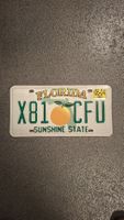 Kennzeichen Florida