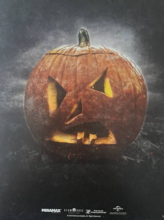 : Halloween 2018 Steelbook  – Usato da Zürich venduto da Andri878 2