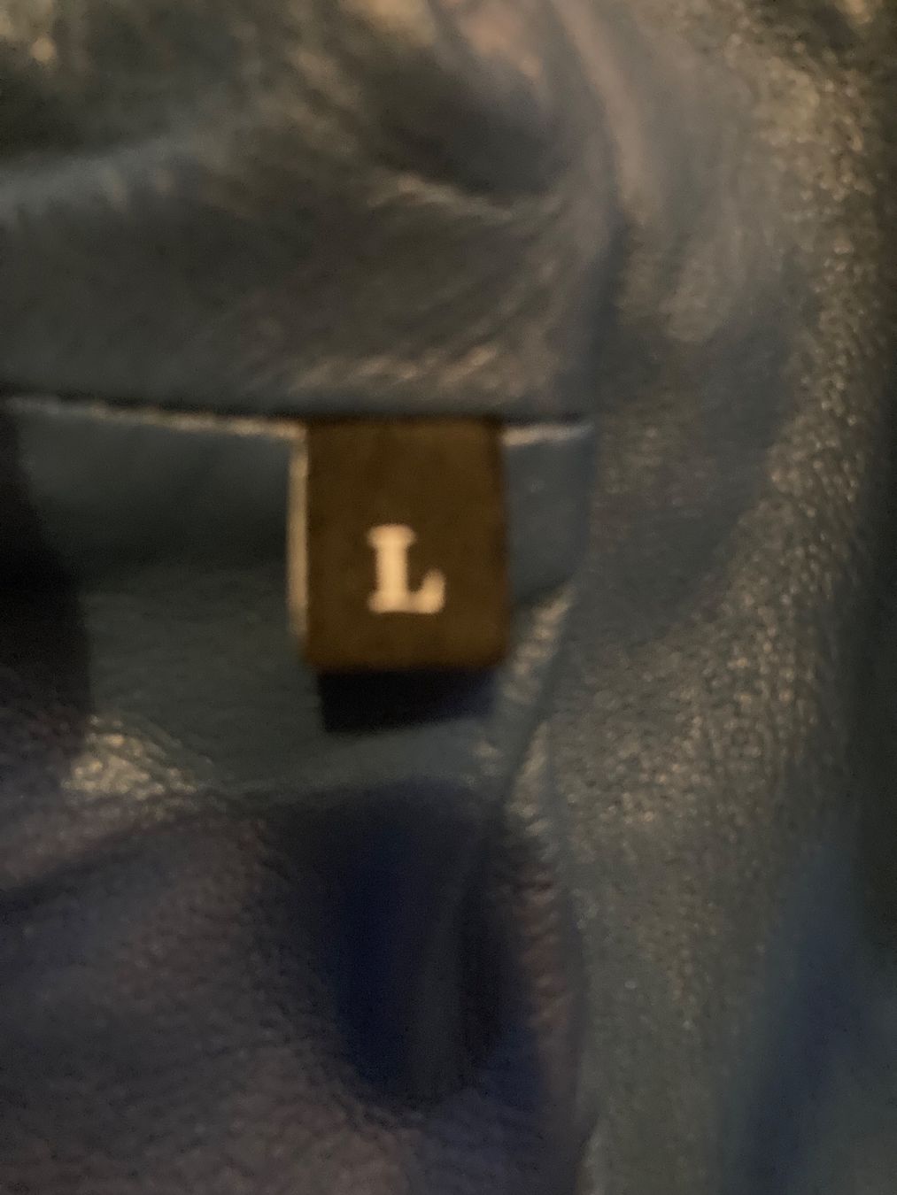 Diesel Giacche: Diesel Lederjacke blau – Nuovo (secondo la descrizione) da Sursee venduto da Auktion29 2