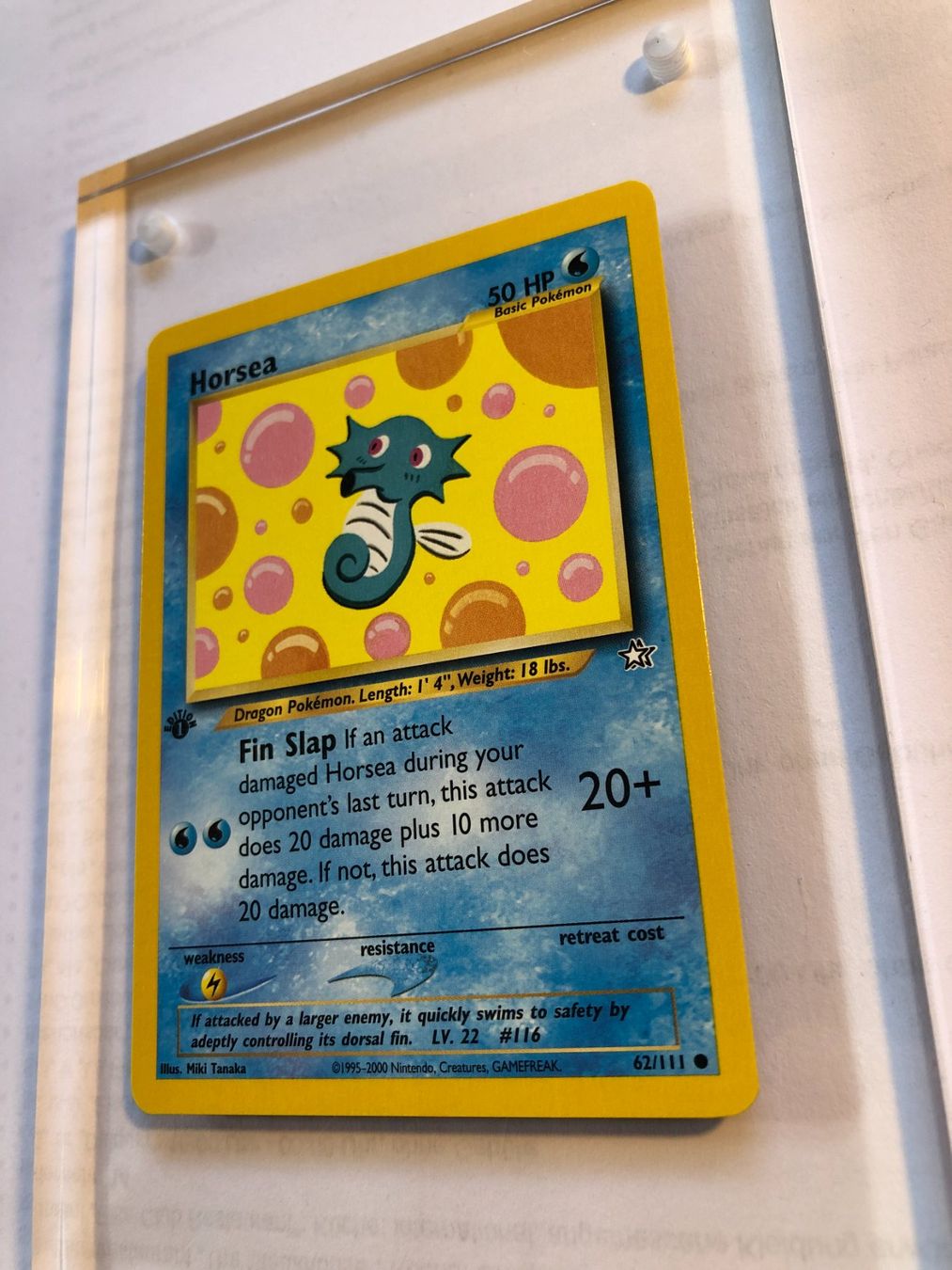 Sammelbilder & Trading cards: Horsea 1st Neo Genesis - MINT - ab 1.- – Gebraucht aus Giubiasco von dan_pr8b 2