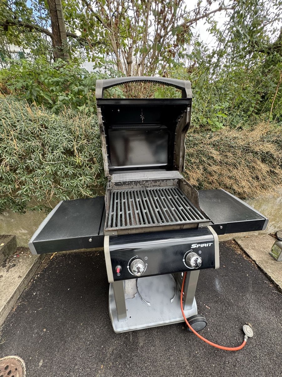 Griglie: weber spirit e-210 – Usato da Büsserach venduto da Brranko 5