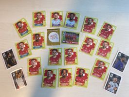 Panini Schweizer Spieler und Cola Sticker