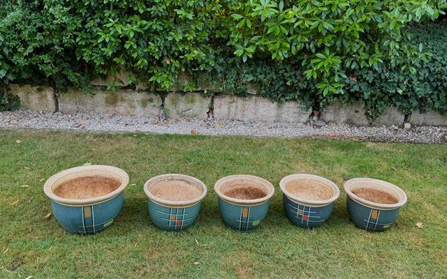 Pots de fleurs: 5 Blumentöpfe – D'occasion à Bad Zurzach par kimaro 1