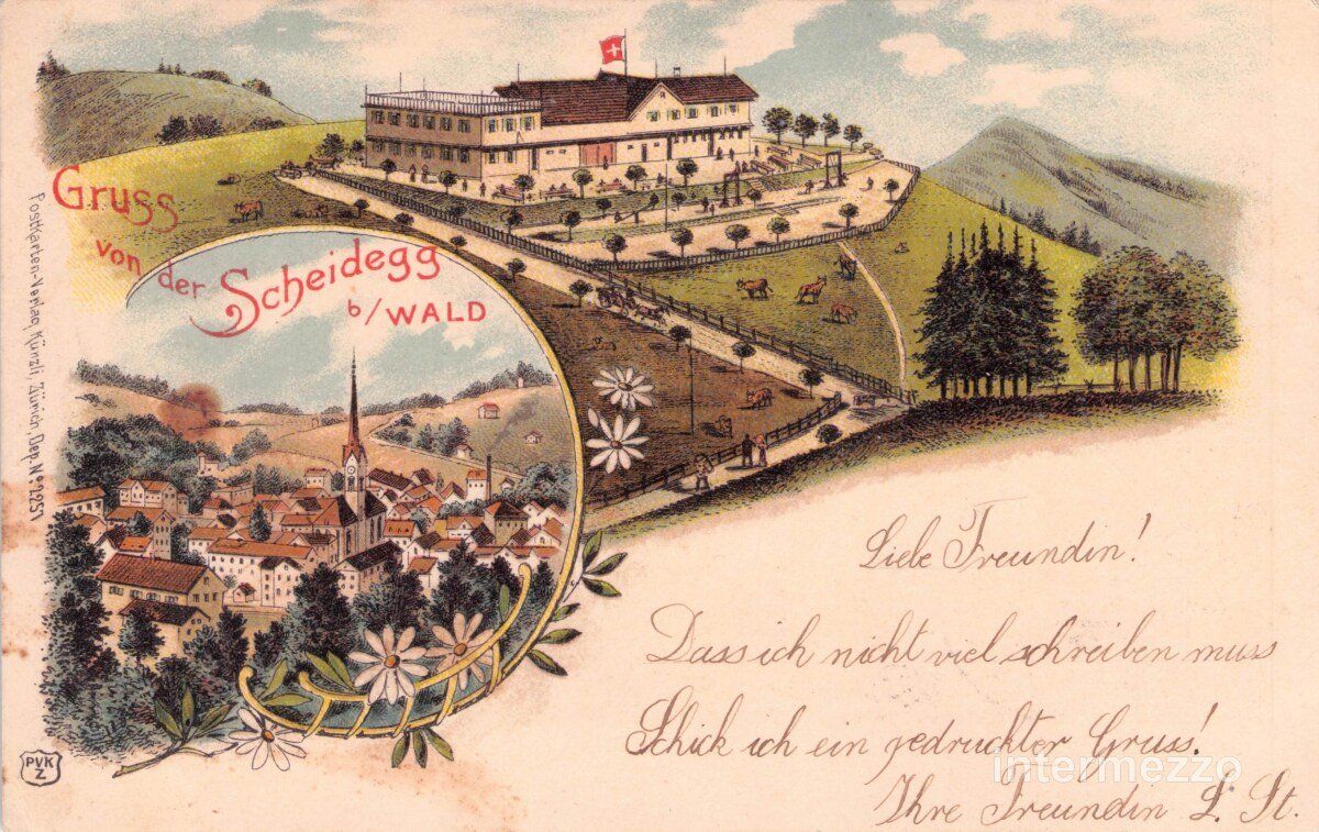 Ansichtskarten: Wald ZH // 1901 Litho Gruss von der Scheidegg – Gebraucht aus Basel von intermezzo12