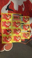 Panini Sammelkarten Schweiz Fussball 