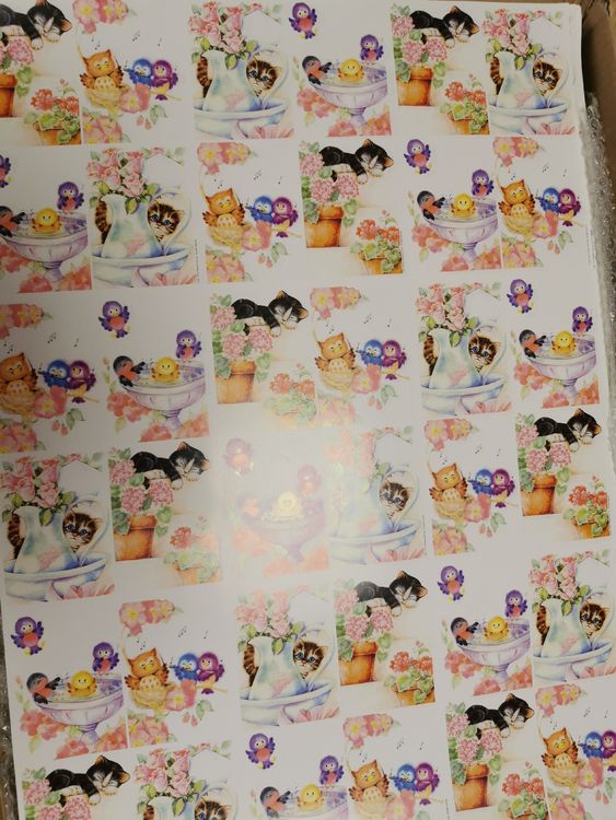 PSD di Carta regalo cuccioli - Freepik