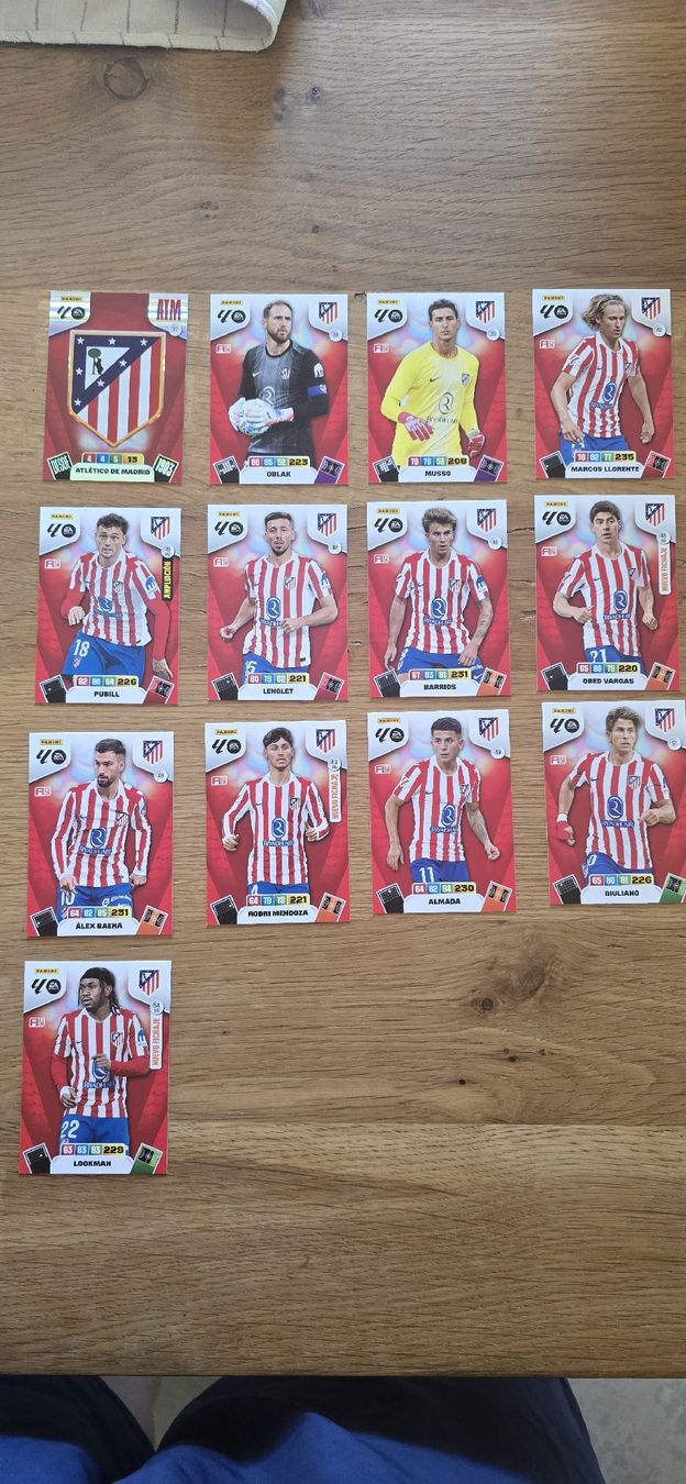 Panini Carte collezionabili: Laliga Panini  Atletico de Madrid – Usato da Safnern venduto da Brionne