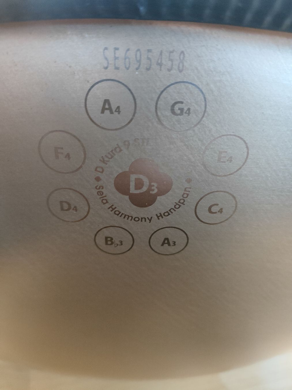 Strumenti musicali: Handpan Sela D Kurd – Usato da Basel venduto da celber 1