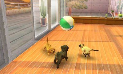 Nintendo Spiele: Nintendogs + Cats Zwergpudel & Neue Freunde  3DS – Gebraucht aus Schüpfheim von Games_Spielkonsolen 3