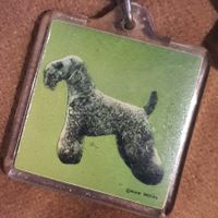 Porte-clés vintage chien 4x4 cm