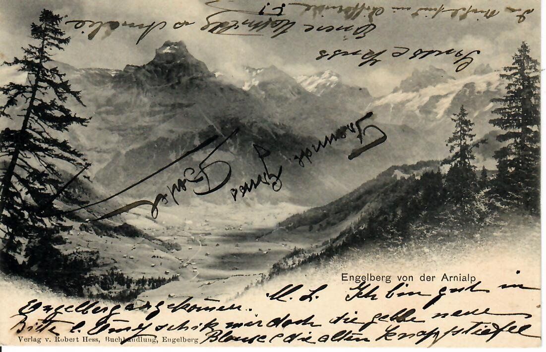 Cartes postales: Engelberg  1903 – D'occasion à Hochdorf par Ziegel-16