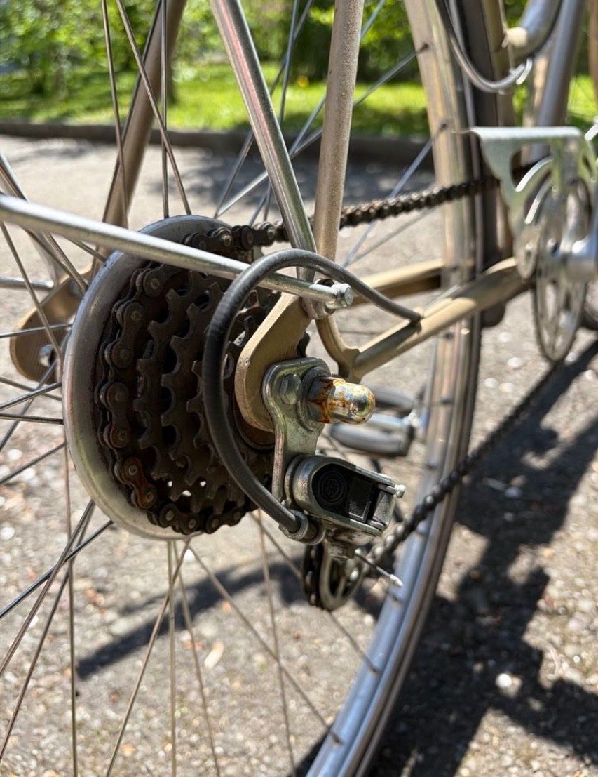 Alpina Biciclette: Vintage Alpina Damenrad – Difettoso da Zürich venduto da sim_z5x5 5
