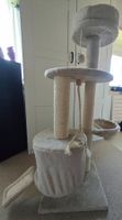 Katzenkratzbaum zu verschenken