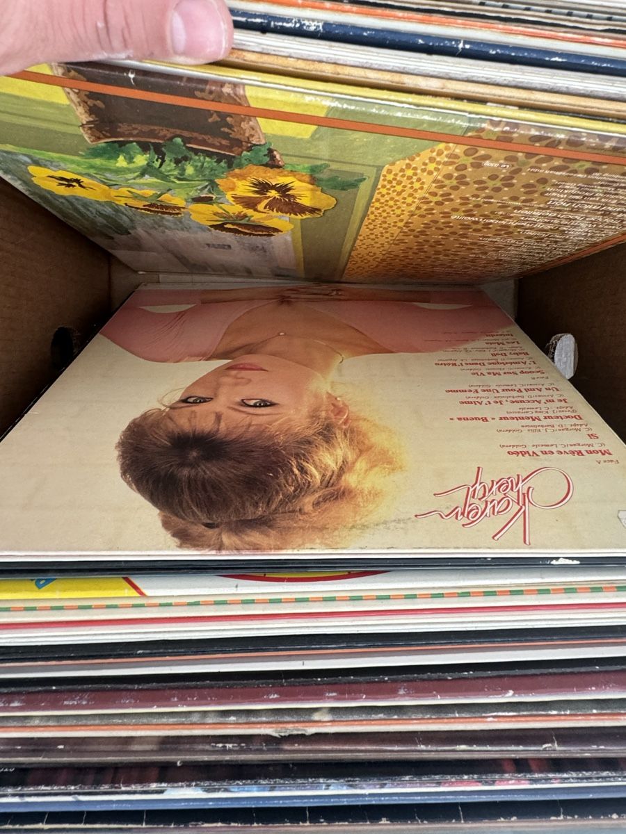 Dischi in vinile: vinyl lot – Usato da Le Locle venduto da Titeuf2400 1