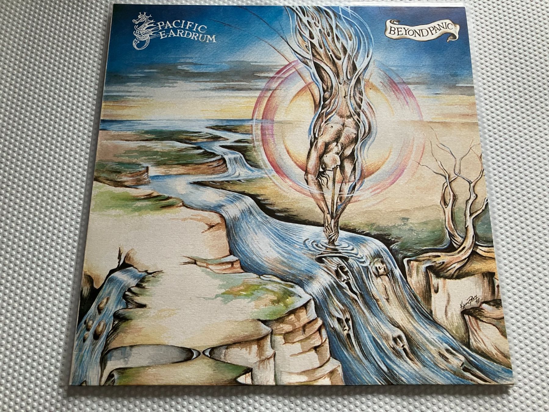 Dischi in vinile: Pacific Eardrum – Usato da Aarwangen venduto da Jukebox3
