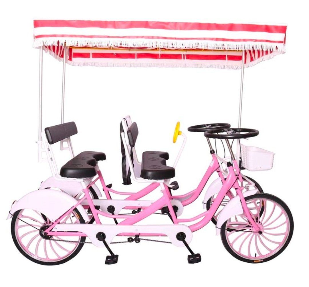 Biciclette: Familienvelo – Nuovo e nell'imballaggio originale da Liesberg venduto da Chroetli5