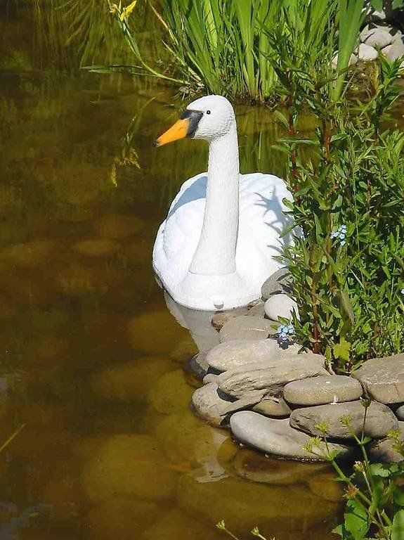 Tutte le decorazioni: Swann   Garten  Dekoration – Usato da Castagnola venduto da Cat-WomenX 1