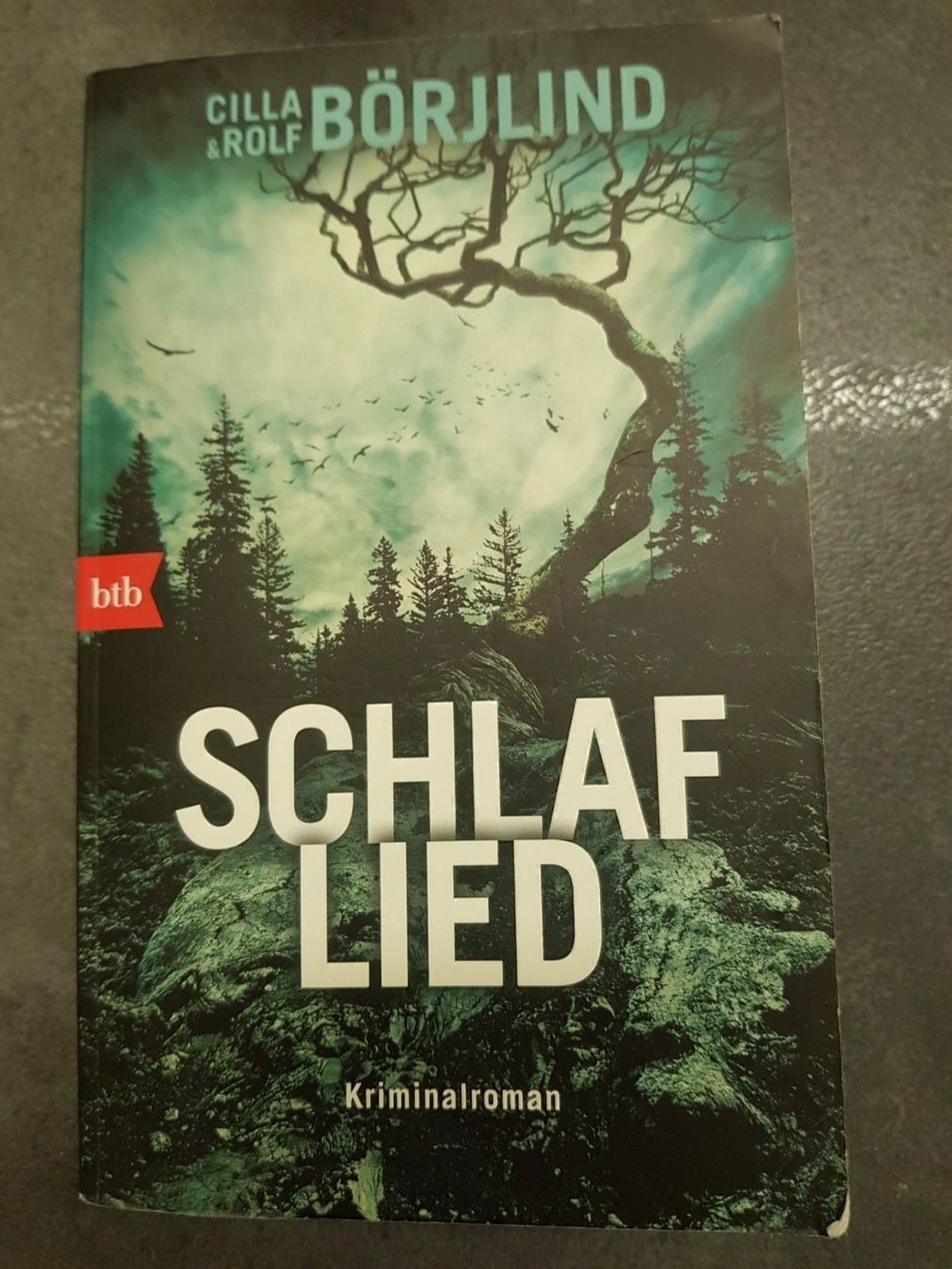 Libri: Schlaflied / Cilla & Rolf Börjlind – Usato da Dietikon venduto da marconi07