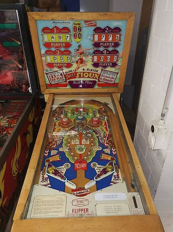 Flipper Kaufen Gebraucht