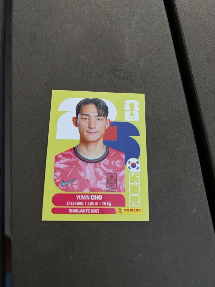 Panini Carte collezionabili: Yumin Cho  – Nuovo (secondo la descrizione) da Dornach venduto da metallbau.ch