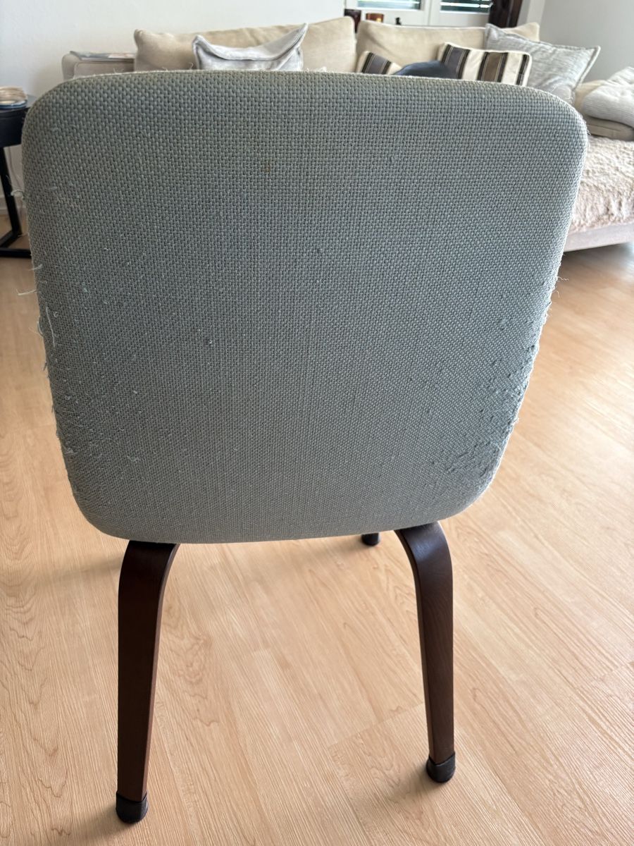 Minotti Sedie: Minotti Esszimmerstühle /Arson 4 Set, Farbe: 21 Celadon – Usato da Zollikon venduto da gse_bg2z 6
